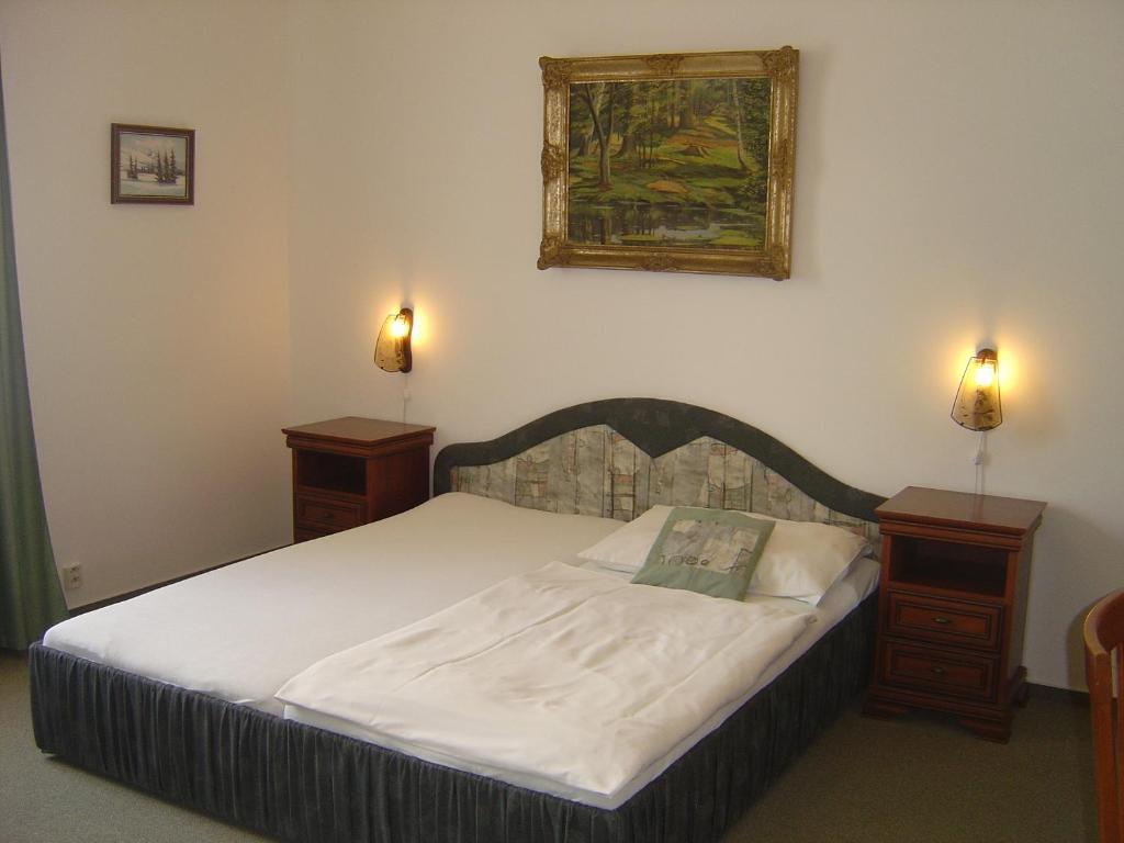 Hotel Excellent Prague Phòng bức ảnh